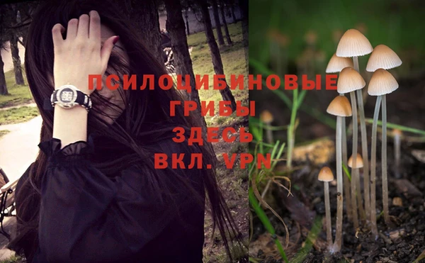 mix Алексин